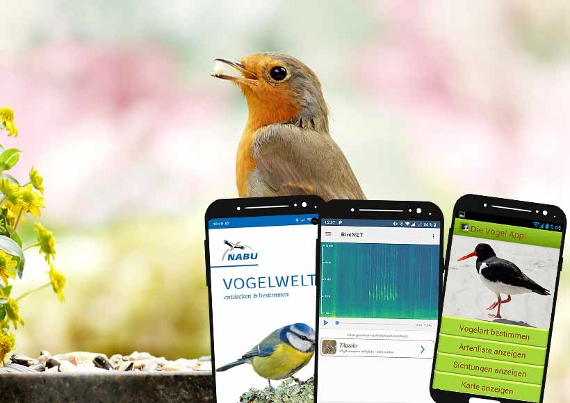 apps zur Vogelbestimmgung