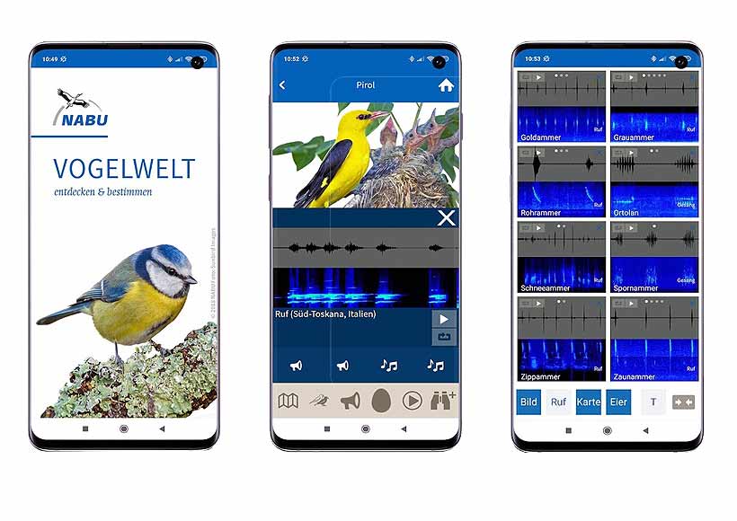 vogelbestimmungaspp die vogel app